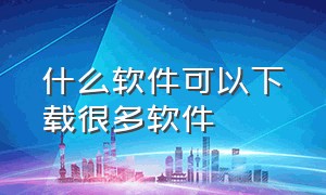 什么软件可以下载很多软件