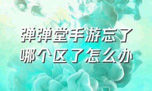 弹弹堂手游忘了哪个区了怎么办