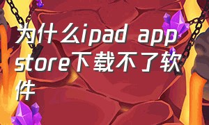 为什么ipad appstore下载不了软件