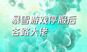 暴雪游戏停服后各路大佬