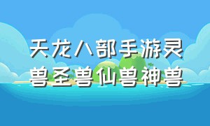 天龙八部手游灵兽圣兽仙兽神兽