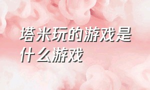 塔米玩的游戏是什么游戏