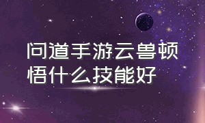 问道手游云兽顿悟什么技能好（问道手游云兽顿悟技能排名）