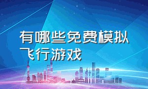 有哪些免费模拟飞行游戏（适合新手的模拟飞行游戏）