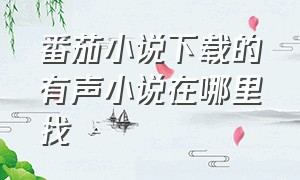 番茄小说下载的有声小说在哪里找