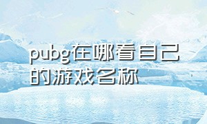 pubg在哪看自己的游戏名称