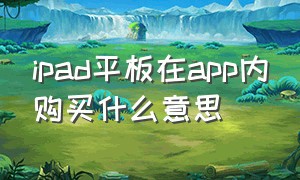 ipad平板在app内购买什么意思