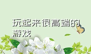 玩起来很高端的游戏（玩起来很高端的游戏名字）