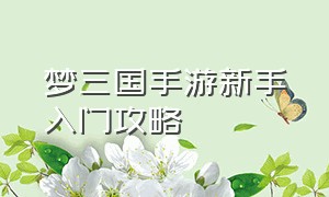 梦三国手游新手入门攻略