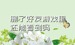 删了好友游戏里还能看到吗（删了游戏好友怎么还在对方列表中）