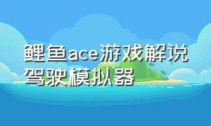 鲤鱼ace游戏解说驾驶模拟器