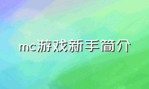 mc游戏新手简介（mc游戏的入口）