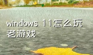 windows 11怎么玩老游戏