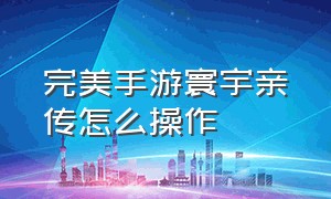 完美手游寰宇亲传怎么操作