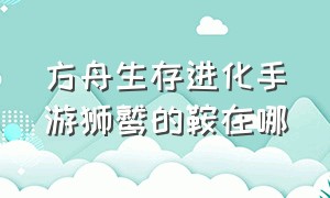 方舟生存进化手游狮鹫的鞍在哪（方舟生存进化手游下载正版）