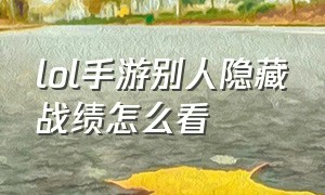 lol手游别人隐藏战绩怎么看（lol手游好友隐藏战绩怎么才能查看）