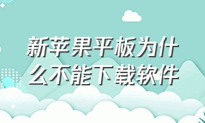 新苹果平板为什么不能下载软件（苹果平板怎么下载不了软件了）