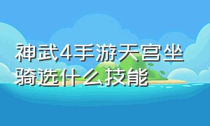 神武4手游天宫坐骑选什么技能