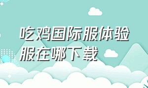 吃鸡国际服体验服在哪下载