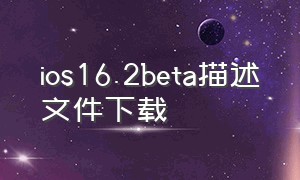 ios16.2beta描述文件下载