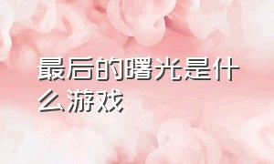 最后的曙光是什么游戏