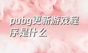 pubg更新游戏程序是什么（pubg游戏客户端更新怎么解决）