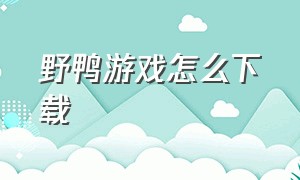 野鸭游戏怎么下载