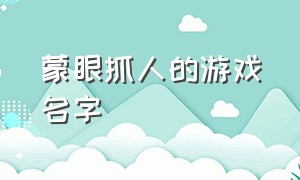 蒙眼抓人的游戏名字