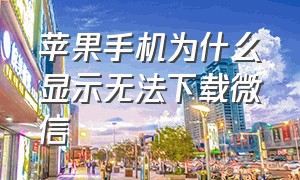 苹果手机为什么显示无法下载微信