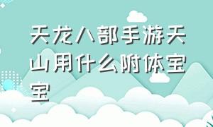 天龙八部手游天山用什么附体宝宝