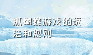 抓蝴蝶游戏的玩法和规则