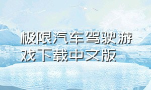 极限汽车驾驶游戏下载中文版