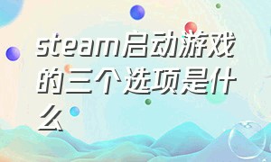 steam启动游戏的三个选项是什么