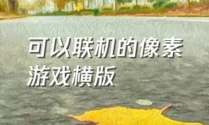 可以联机的像素游戏横版