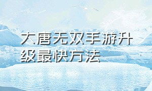 大唐无双手游升级最快方法