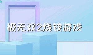 极无双2烧钱游戏