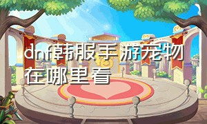 dnf韩服手游宠物在哪里看（dnf韩服汉化版手游下载官网）