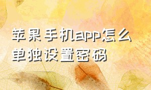 苹果手机app怎么单独设置密码