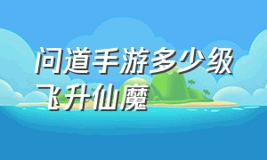 问道手游多少级飞升仙魔（问道手游飞升选仙还是魔）