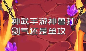 神武手游神兽打剑气还是单攻（神武手游仙兽剑气怎么打书）