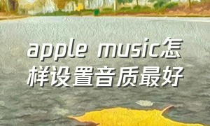 apple music怎样设置音质最好