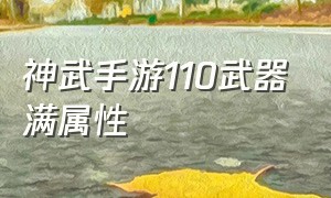 神武手游110武器满属性