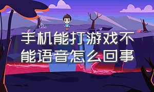 手机能打游戏不能语音怎么回事（手机游戏语音说不了话怎么办）