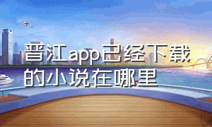 晋江app已经下载的小说在哪里