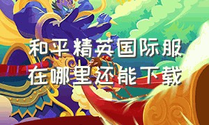 和平精英国际服在哪里还能下载