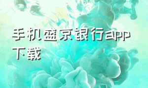 手机盛京银行app下载（盛京银行app个人信息在哪里找）