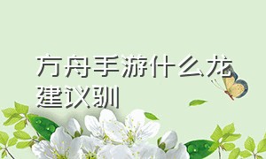 方舟手游什么龙建议驯