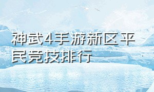 神武4手游新区平民竞技排行
