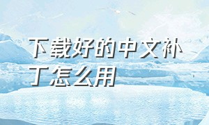 下载好的中文补丁怎么用