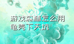 游戏森林怎么用龟壳下天坑（森林游戏里的天坑用龟壳怎么下）